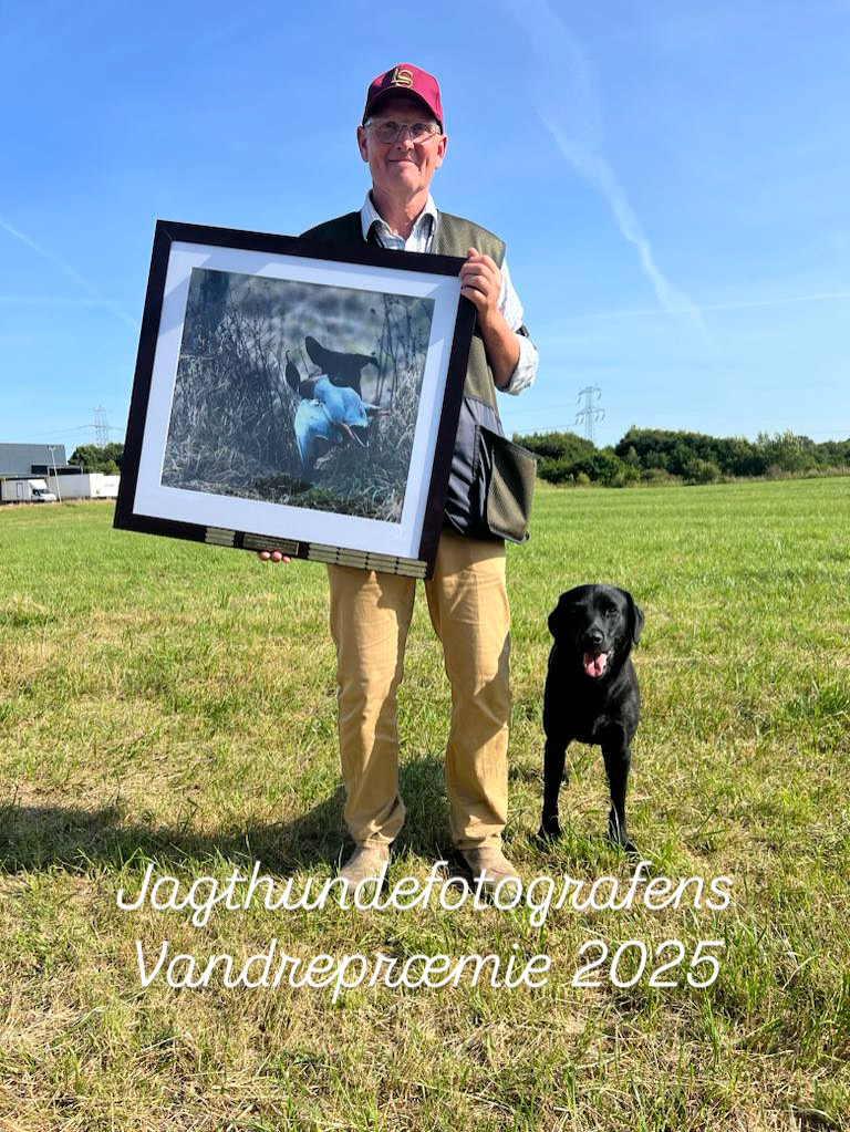 5e781d99 eca8 4007 b146 68768bfc92f8